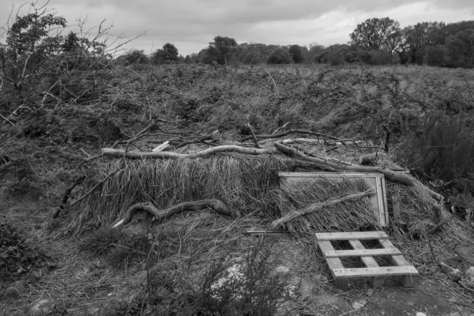 Builders debris and broken tree limbs in the foreground, scrubland behind