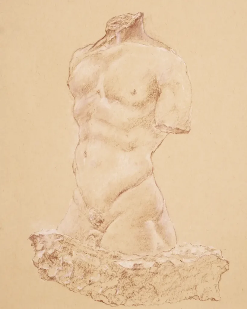 Conte pencil study on sepia paper of Torso